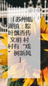 苏州临湖镇：粽叶飘香传文明 村村有“戏”树新风
