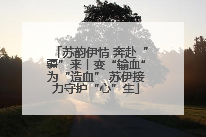 苏韵伊情 奔赴“疆”来丨变“输血”为“造血” 苏伊接力守护“心”生