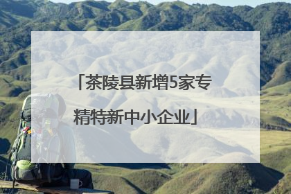 茶陵县新增5家专精特新中小企业