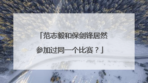 范志毅和保剑锋居然参加过同一个比赛？