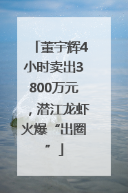 董宇辉4小时卖出3800万元，潜江龙虾火爆“出圈”