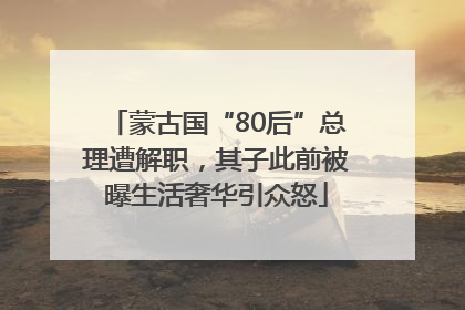 蒙古国“80后”总理遭解职，其子此前被曝生活奢华引众怒