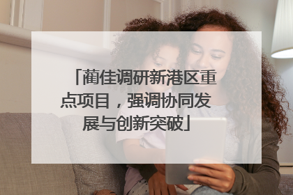 蔺佳调研新港区重点项目，强调协同发展与创新突破