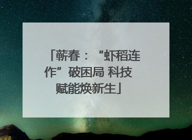 蕲春：“虾稻连作”破困局 科技赋能焕新生