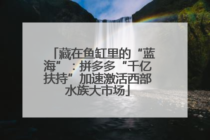 藏在鱼缸里的“蓝海”：拼多多“千亿扶持”加速激活西部水族大市场