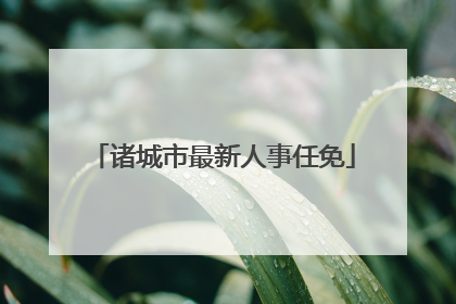 诸城市最新人事任免