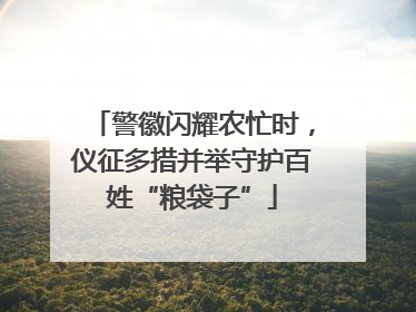 警徽闪耀农忙时，仪征多措并举守护百姓“粮袋子”
