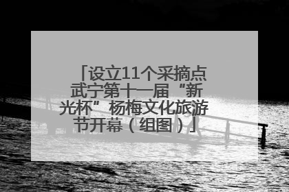 设立11个采摘点 武宁第十一届“新光杯”杨梅文化旅游节开幕（组图）