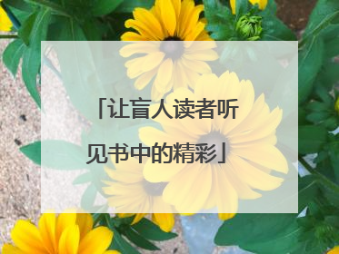让盲人读者听见书中的精彩
