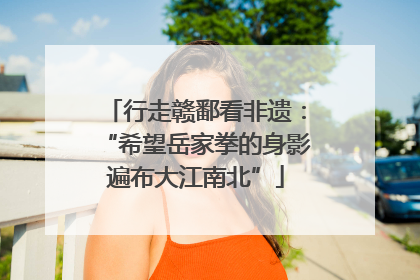 行走赣鄱看非遗：“希望岳家拳的身影遍布大江南北”