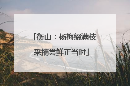 衡山：杨梅缀满枝 采摘尝鲜正当时