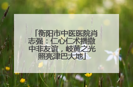 衡阳市中医医院肖志强：仁心仁术播撒中非友谊，岐黄之光照亮津巴大地