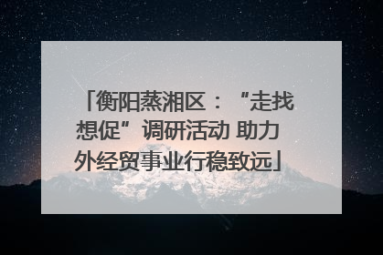 衡阳蒸湘区：“走找想促”调研活动 助力外经贸事业行稳致远