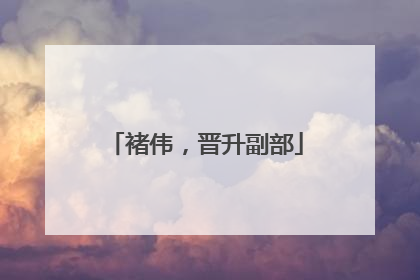 褚伟，晋升副部