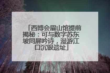 西博会眉山馆提前揭秘：可与数字苏东坡同屏吟诗，漫游江口沉银遗址