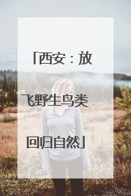 西安：放飞野生鸟类回归自然