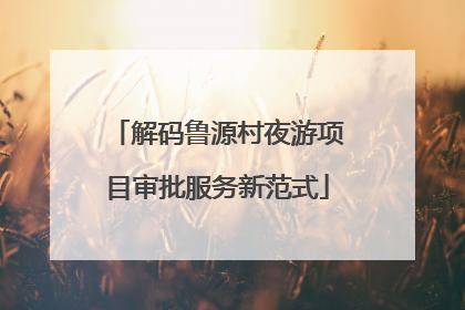解码鲁源村夜游项目审批服务新范式