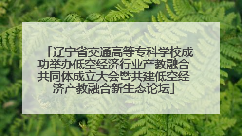 辽宁省交通高等专科学校成功举办低空经济行业产教融合共同体成立大会暨共建低空经济产教融合新生态论坛
