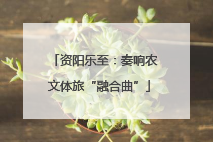 资阳乐至：奏响农文体旅“融合曲”