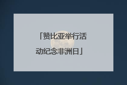 赞比亚举行活动纪念非洲日