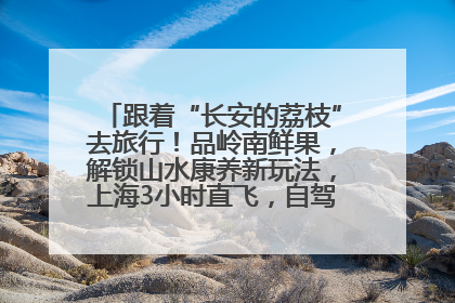 跟着“长安的荔枝”去旅行！品岭南鲜果，解锁山水康养新玩法，上海3小时直飞，自驾高速费优惠