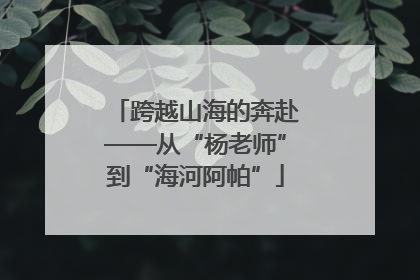 跨越山海的奔赴——从“杨老师”到“海河阿帕”