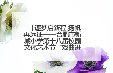 逐梦启新程 扬帆再远征——合肥市新城小学第十八届校园文化艺术节“戏曲进校园专场演出”
