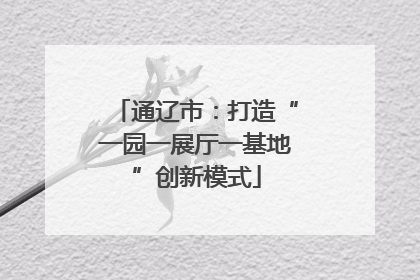 通辽市：打造“一园一展厅一基地”创新模式