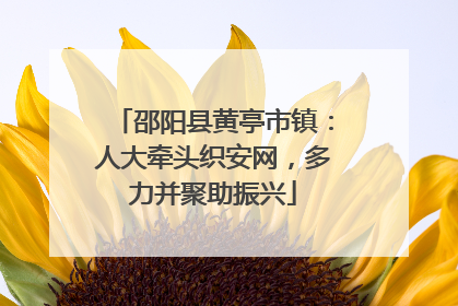 邵阳县黄亭市镇：人大牵头织安网，多力并聚助振兴