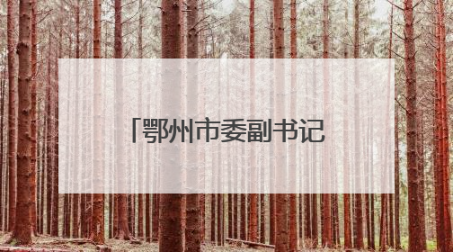 鄂州市委副书记汪小波出任湖北大数据集团董事长