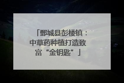 鄄城县彭楼镇：中草药种植打造致富“金钥匙”