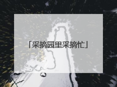 采摘园里采摘忙