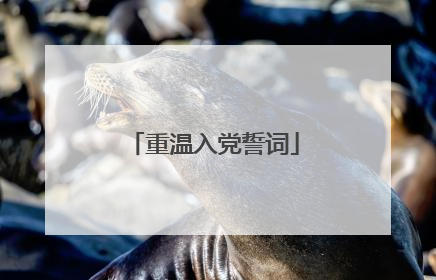重温入党誓词