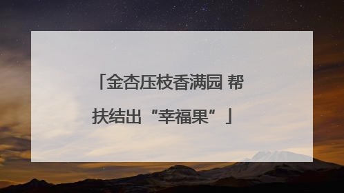 金杏压枝香满园 帮扶结出“幸福果”