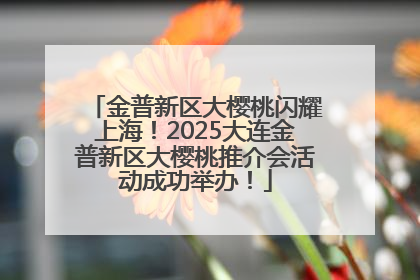 金普新区大樱桃闪耀上海！2025大连金普新区大樱桃推介会活动成功举办！