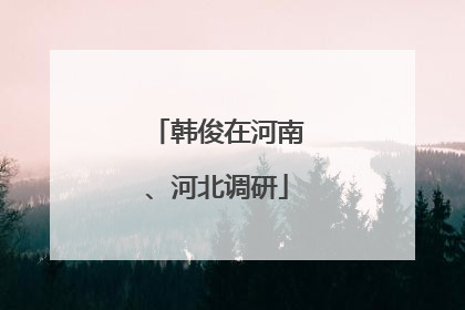 韩俊在河南、河北调研