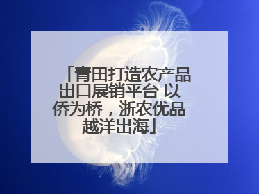 青田打造农产品出口展销平台 以侨为桥，浙农优品越洋出海