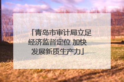 青岛市审计局立足经济监督定位 加快发展新质生产力