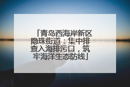 青岛西海岸新区隐珠街道：集中排查入海排污口，筑牢海洋生态防线