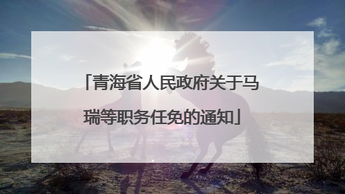 青海省人民政府关于马瑞等职务任免的通知