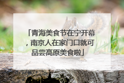 青海美食节在宁开幕，南京人在家门口就可品尝高原美食啦