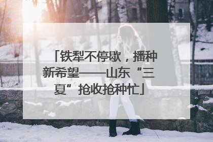 铁犁不停歇，播种新希望——山东“三夏”抢收抢种忙