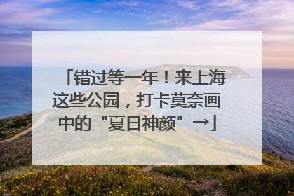 错过等一年！来上海这些公园，打卡莫奈画中的“夏日神颜”→