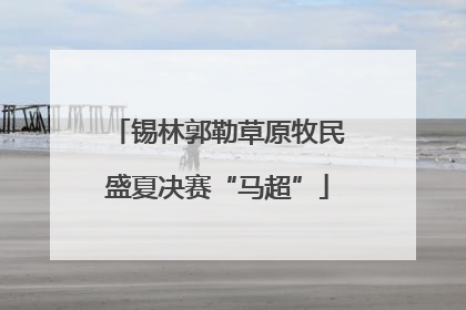 锡林郭勒草原牧民盛夏决赛“马超”
