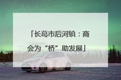 长葛市后河镇：商会为“桥”助发展