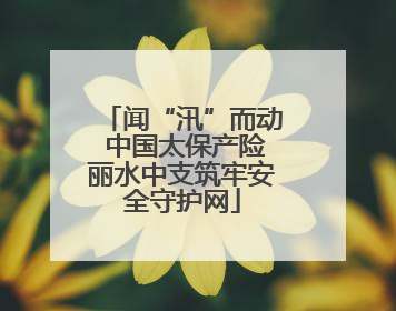 闻“汛”而动 中国太保产险丽水中支筑牢安全守护网