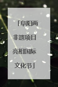 阜阳两非遗项目亮相国际文化节