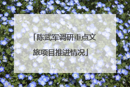陈武军调研重点文旅项目推进情况