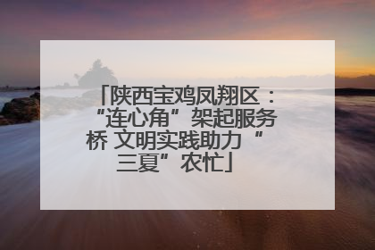 陕西宝鸡凤翔区：“连心角”架起服务桥 文明实践助力“三夏”农忙