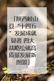 陕西岐山县“十四五”发展成就显著 四大战略绘就高质量发展新图景